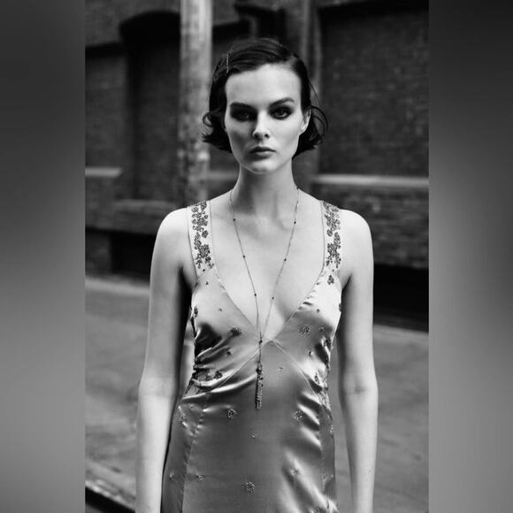 Zara Women’s Satin Dress with Embroidery Limited Edition Size M NWT - Picture 4 of 16